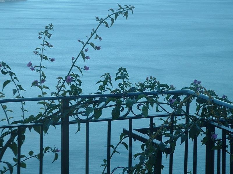 Il Giardino Dei Limoni Apartment Ravello Luaran gambar